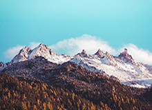 九游体育网站入口：开启你的专属体育娱乐新纪元